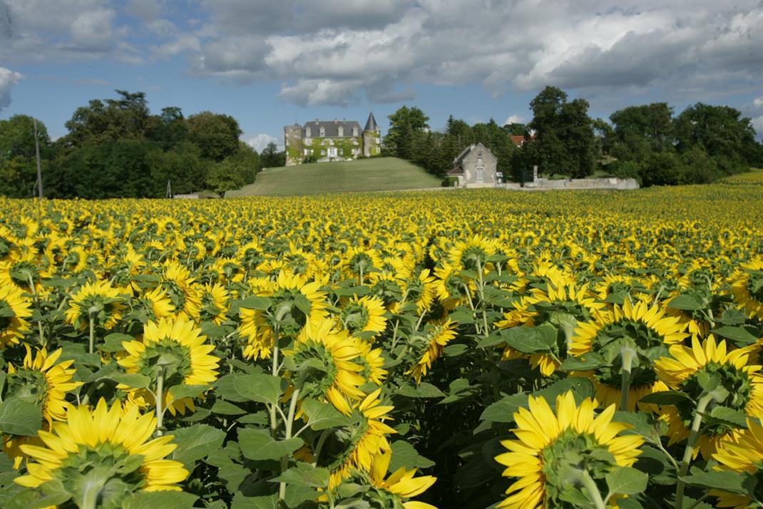 Parc et Jardin Château de La Côte Brantome Dordogne