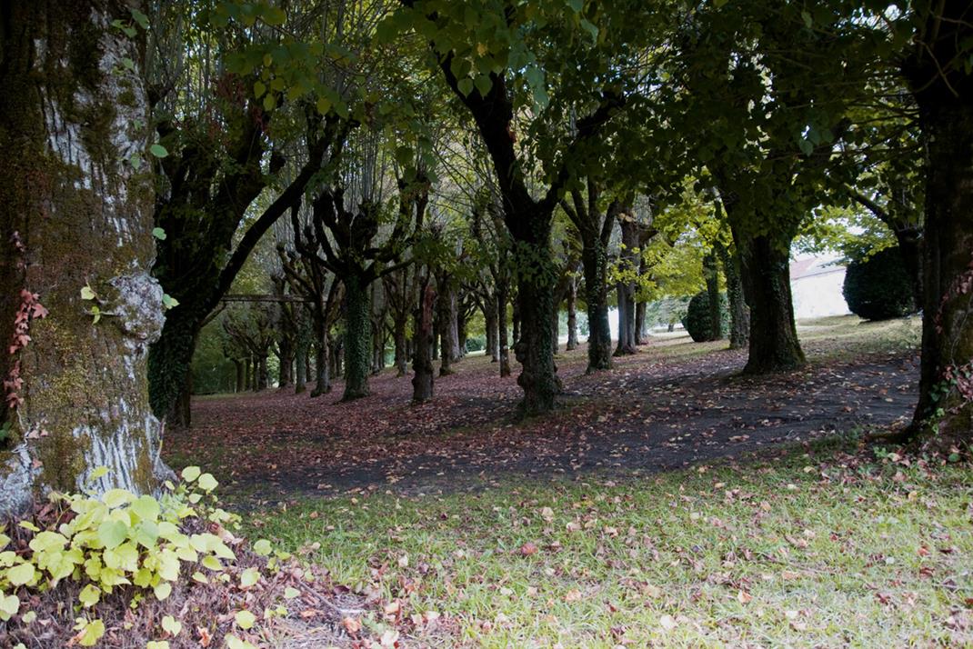 Parc et Jardin Château de La Côte Brantome Dordogne