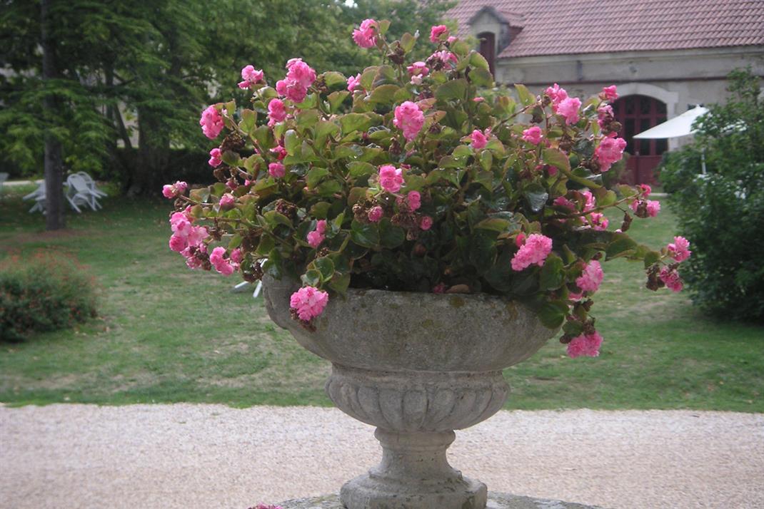 Parc et Jardin Château de La Côte Brantome Dordogne