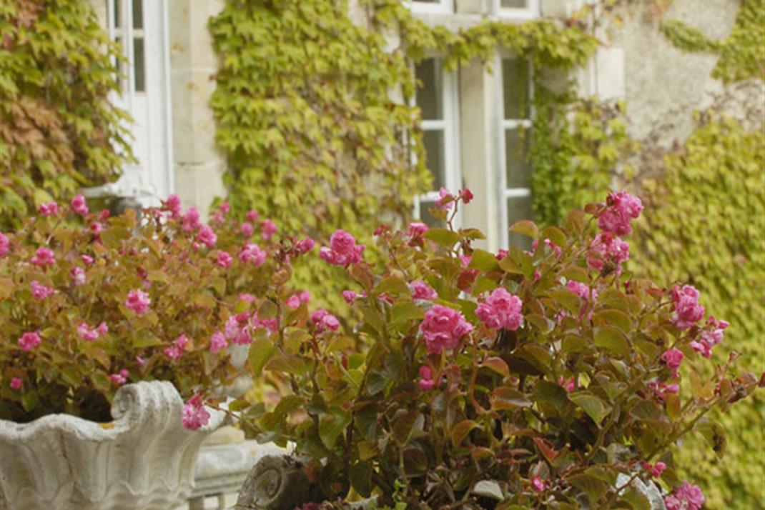 Parc et Jardin Château de La Côte Brantome Dordogne