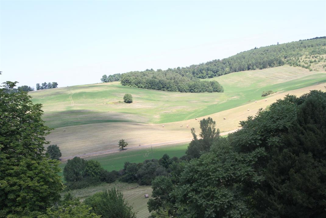 Parc et Jardin Château de La Côte Brantome Dordogne