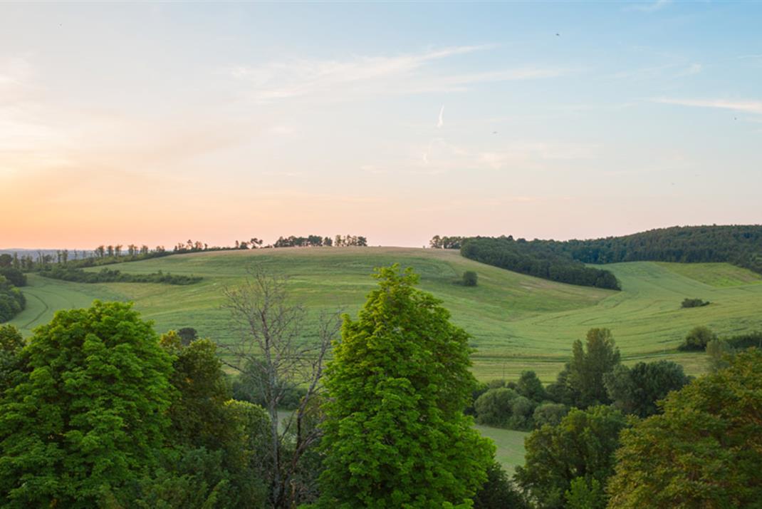 Parc et Jardin Château de La Côte Brantome Dordogne