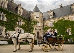 Spa Sauna Piscine Massahe Hôtel Brantome